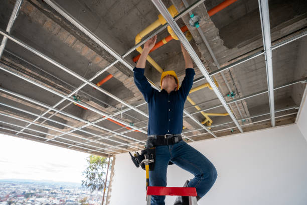 Best Plumbing Inspection Services  in Cedar Hill, MO